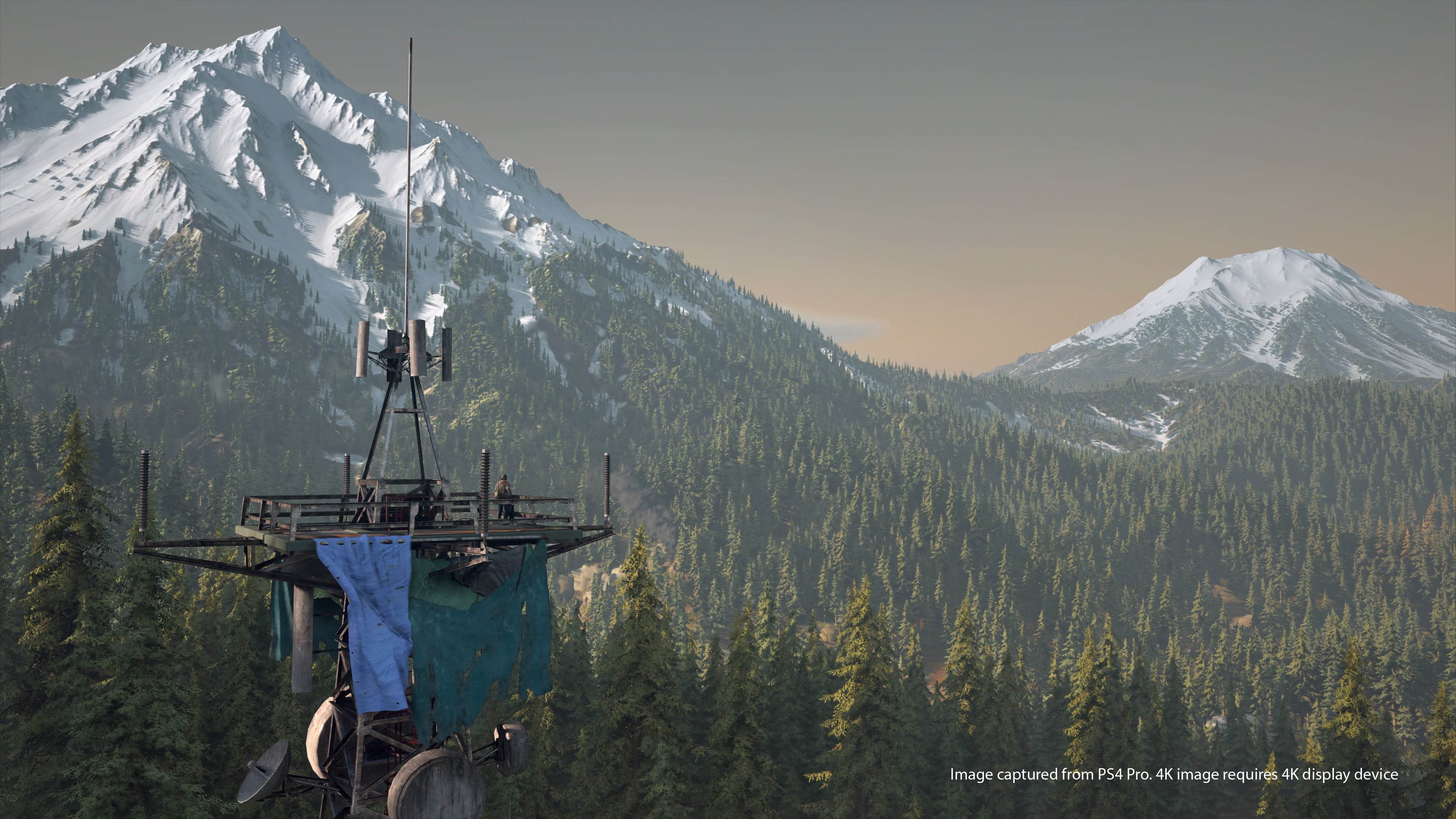 Days Gone - Imagen 47